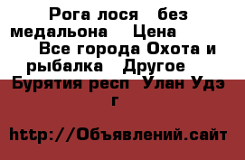 Рога лося , без медальона. › Цена ­ 15 000 - Все города Охота и рыбалка » Другое   . Бурятия респ.,Улан-Удэ г.